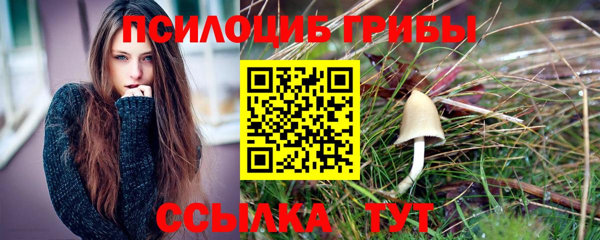 Таганрог  Галлюциногенные грибы Psilocybine cubensis  Галлюциногенные грибы прущие грибы  Вход с VPN 