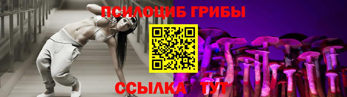 Галлюциногенные грибы прущие грибы Таганрог